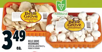 Metro Belle grove mushrooms offer