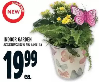 Metro Indoor garden offer
