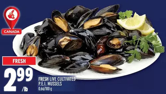 Metro Fresh live cultivated p.e.i. mussels offer