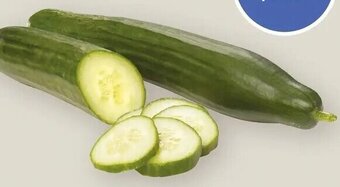 Rachelle-Bery Grocery Organic Seedless Cucumber offer