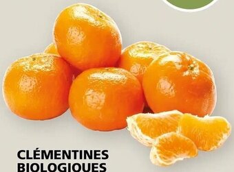 Rachelle-Bery Grocery Organic Clementines 907g offer