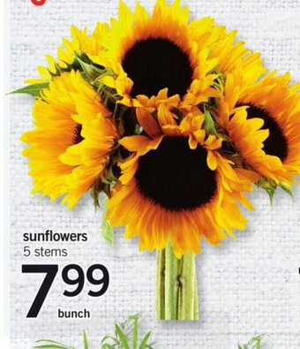 Fortinos Sunflowers offer