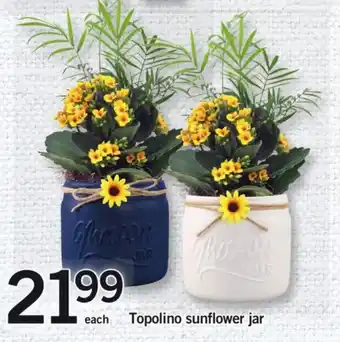 Fortinos Topolino sunflower jar offer