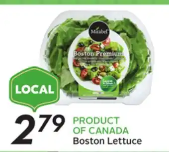 Sobeys Mirabel boston lettuce offer