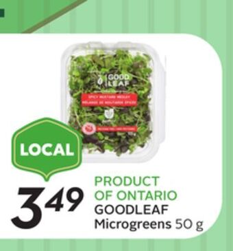 Sobeys Goodleaf microgreens offer