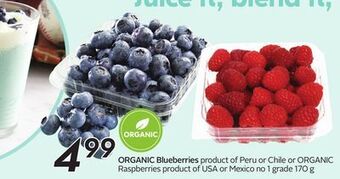 Sobeys Organic blueberries offer