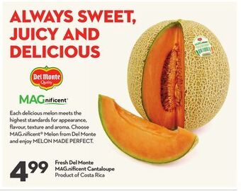 Longo's Fresh del monte mag nifi cent cantaloupe offer