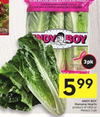 Foodland Andy boy romaine hearts product of usa or mexico 3 pk offer