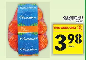 Food Basics Clementines offer