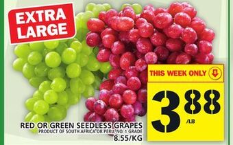 Food Basics Red or green seedless grapes offer