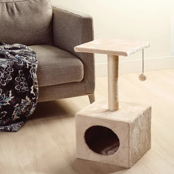 Giant Tiger Cat tree offer