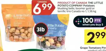 Foodland The little potato company potatoes offer