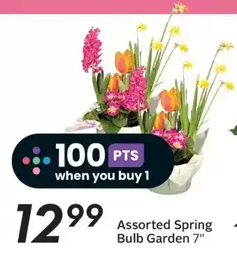Sobeys Spring bulb garden offer