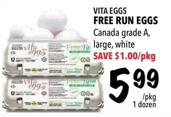 Farm Boy Vita eggs free run eggs offer