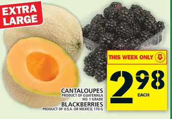 Food Basics Cantaloupes | blackberries offer