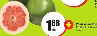 Chalo FreshCo Pomelo sweeties product of israel offer