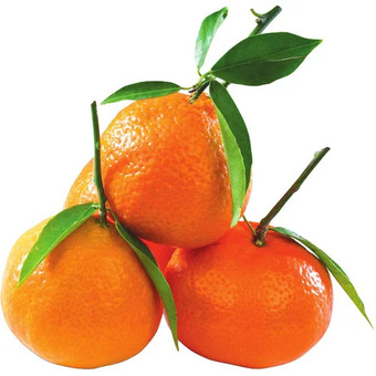 FreshCo Stem & leaf clementines offer