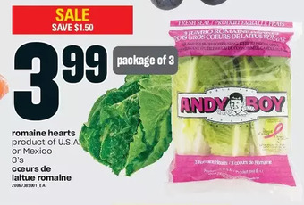 Independent Grocer Romaine hearts offer