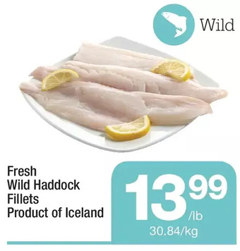 Highland Farms Fresh wild haddock fillets offer