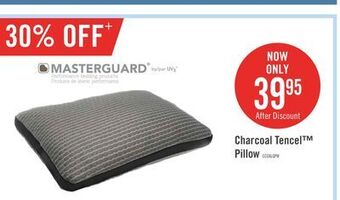 The Brick Masterguard® charcoal tencel™ pillow offer
