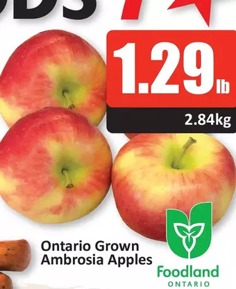 Starsky Ontario grown ambrosia apples offer