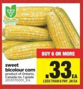Real Canadian Superstore Sweet Bicolour Corn offer