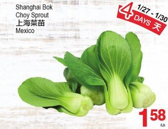T&T Supermarket Shanghai bok choy sprout offer