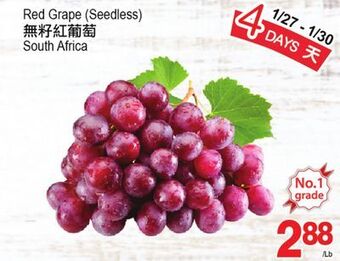 T&T Supermarket Red grape (seedless) offer
