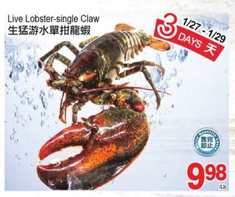 T&T Supermarket Live lobster-single claw offer