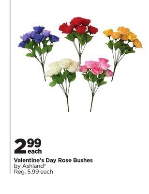 Michaels Valentine's day rose bushes offer