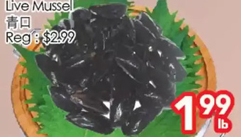 Superking Supermarket Live mussel offer