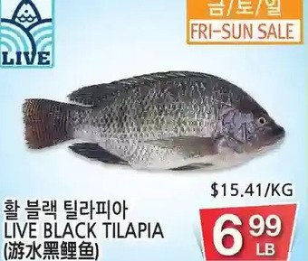 H-Mart Live black tilapia offer