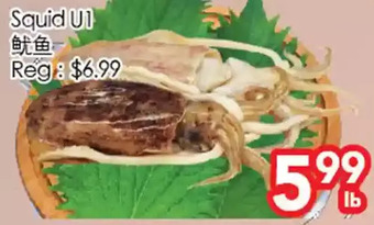 Superking Supermarket Squid u1 offer