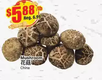 Btrust Supermarket Mushroom offer