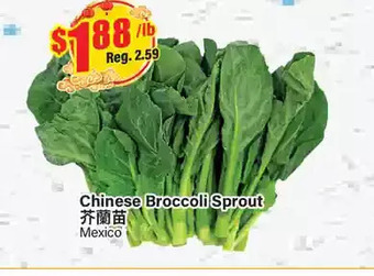 Btrust Supermarket Chinese broccoli sprout offer