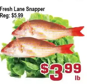 Top Food Supermarket Fresh lane snapper offer