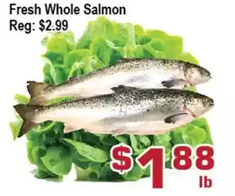 Top Food Supermarket Fresh whole salmon offer