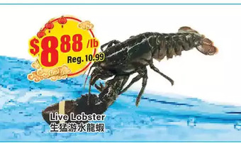 Btrust Supermarket Live lobster offer