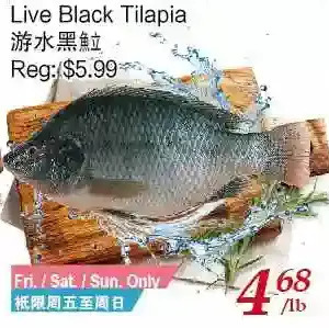 Tone Tai Supermarket Live black tilapia offer