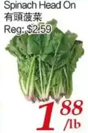 Tone Tai Supermarket Spinach head on offer