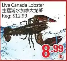 Hong Tai Supermarket Live canada lobster offer