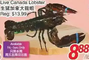 Foody World Live canada lobster offer