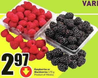 FreshCo Raspberries or Blackberries 170 g offer