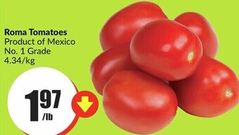 FreshCo Roma Tomatoes offer