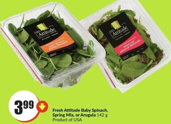 FreshCo Fresh Attitude Baby Spinach, Spring Mix, or Arugula 142 g offer