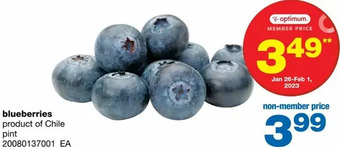 Wholesale Club Blueberries offer