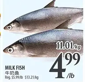 Al Premium Food Mart Milk fish offer