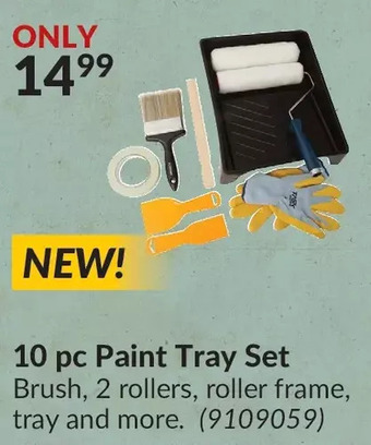 Princess Auto 10 pc paint tray set offer