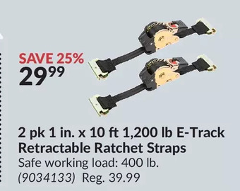 Princess Auto 2 pk 1 in. x 10 ft 1,200 lb e-track retractable ratchet straps offer