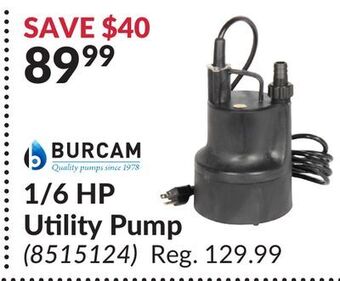Princess Auto 1/6 hp utility pump offer